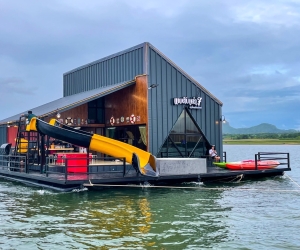 แพตับเต่า 